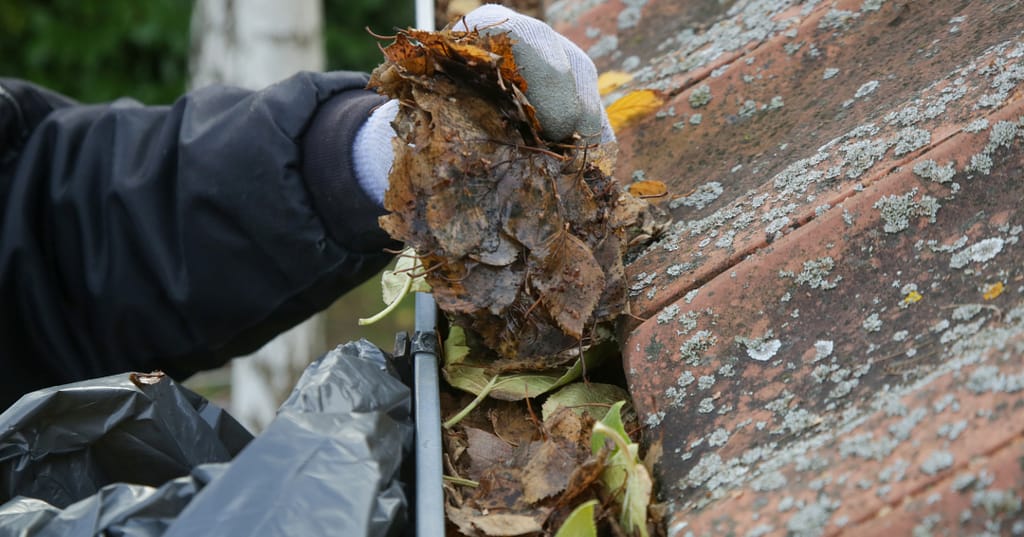 j98Z32MdDbrB7a777 EjRbuZoTGQ emails 85