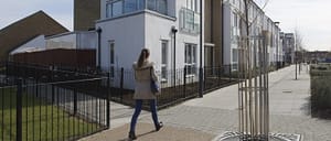 SSH Tree Guards e1593619471959