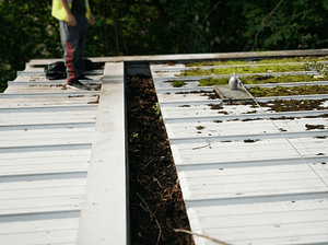 hf 20260128 134828 42d34c25 5f51 419e a456 f6da9be945f0