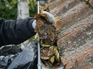 hf 20260128 135727 97ff968d 3a82 4ad7 9cff 4bb008359975