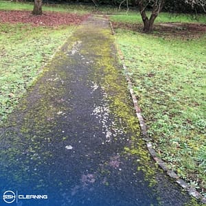 qyqW2yd8r3zFYofNA BZ5pBMP4sn untitled 1000 x 1000 px 2024 08 13t163757 433 1